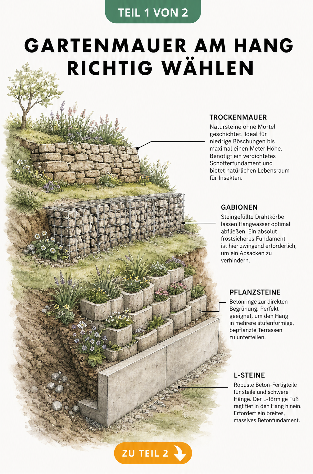 Illustration verschiedener Gartenmauern am Hang wie Trockenmauer, Gabionen, Pflanzsteine und L-Steine