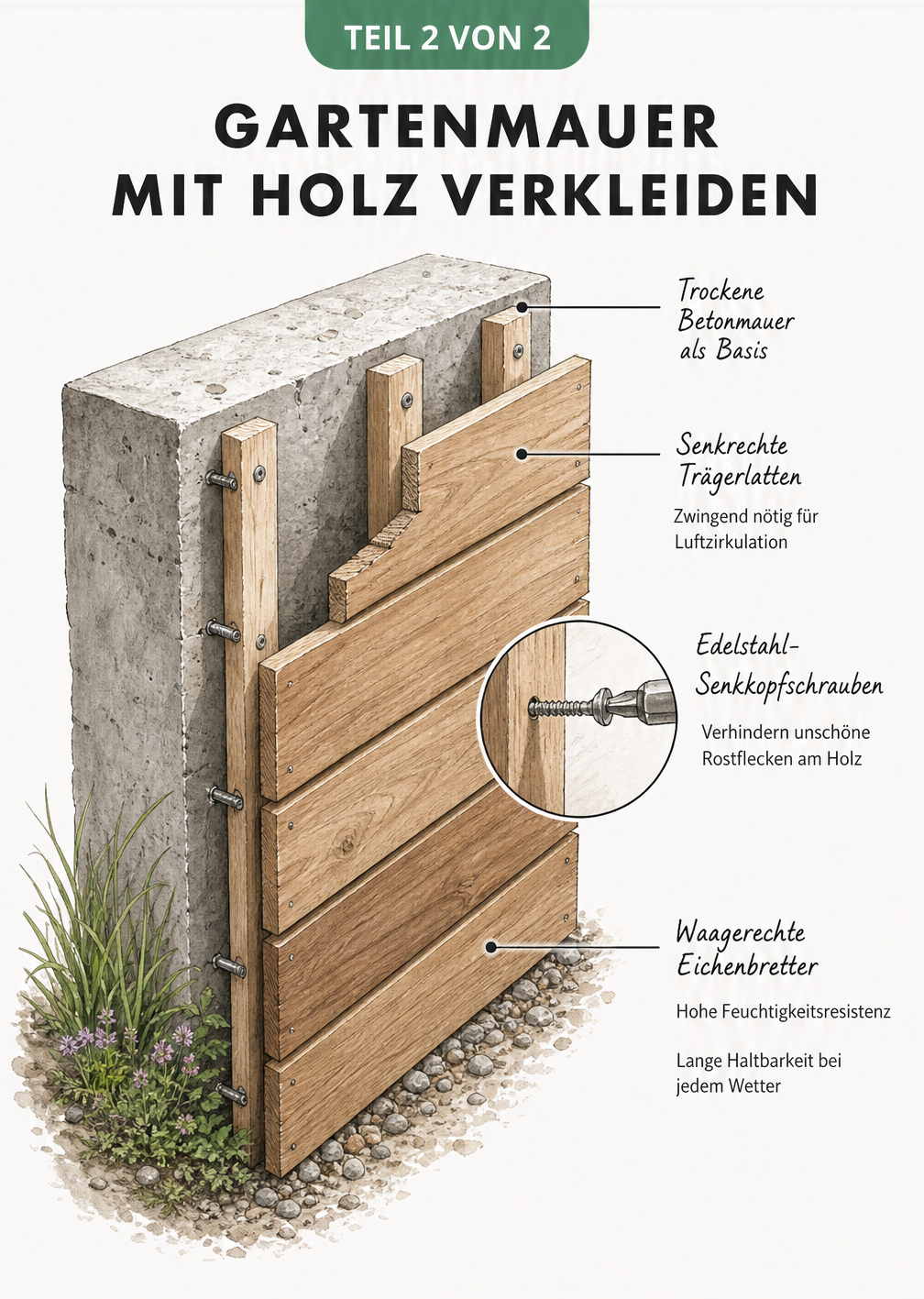 Isometrische Schnittzeichnung einer Gartenmauer mit Holzverkleidung, die den Aufbau aus Betonmauer, Trägerlatten, Schrauben und Eichenbrettern zeigt