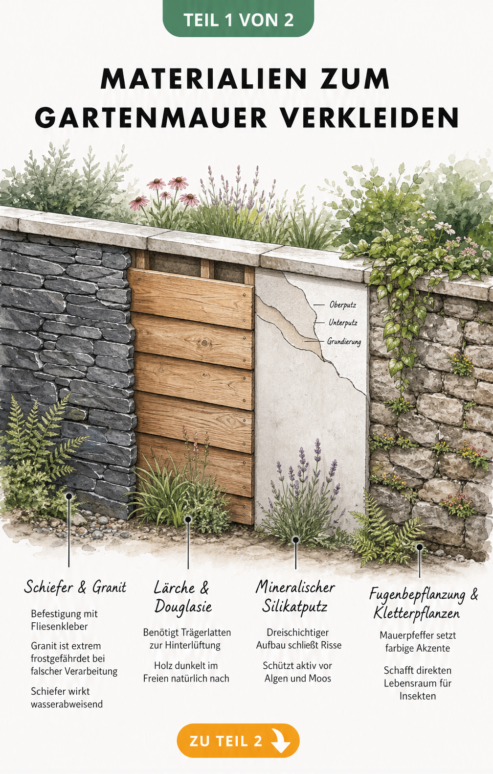 Illustration einer Gartenmauer mit vier verschiedenen Verkleidungen: Naturstein, Holz, Putz und Begrünung