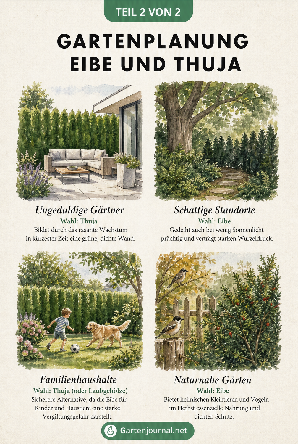 Vier Gartensituationen als Aquarell-Vignetten, die zeigen, ob Thuja oder Eibe besser für Familien, Schatten, Naturgärten oder schnellen Sichtschutz geeignet ist