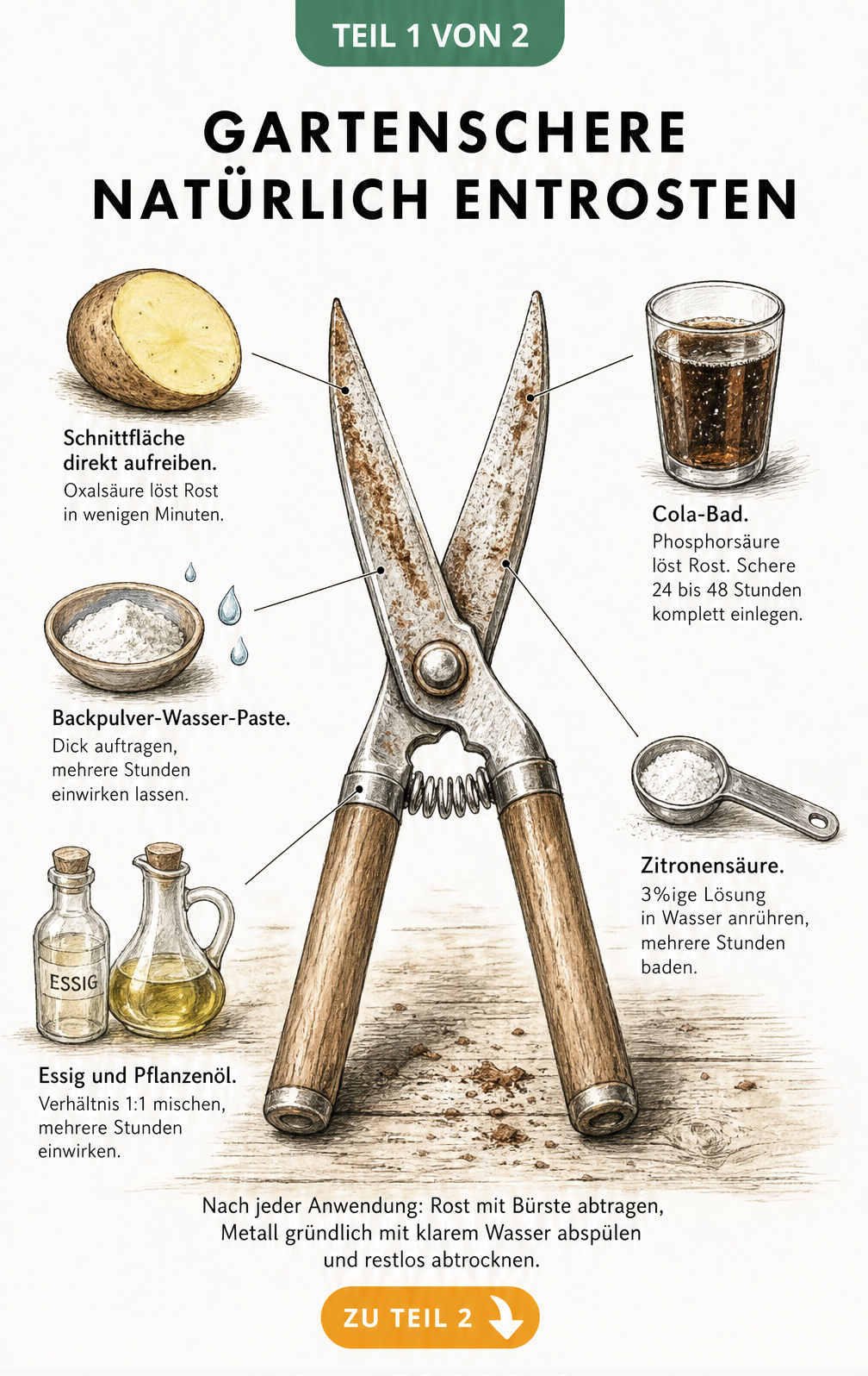 Illustration von Hausmitteln wie Kartoffel, Backpulver, Essig, Cola und Zitronensäure zum Entrosten einer Gartenschere