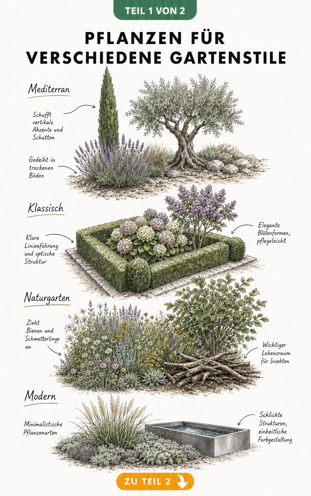 Vier handgezeichnete Gartenbeete im mediterranen, klassischen, naturnahen und modernen Stil mit typischen Pflanzen