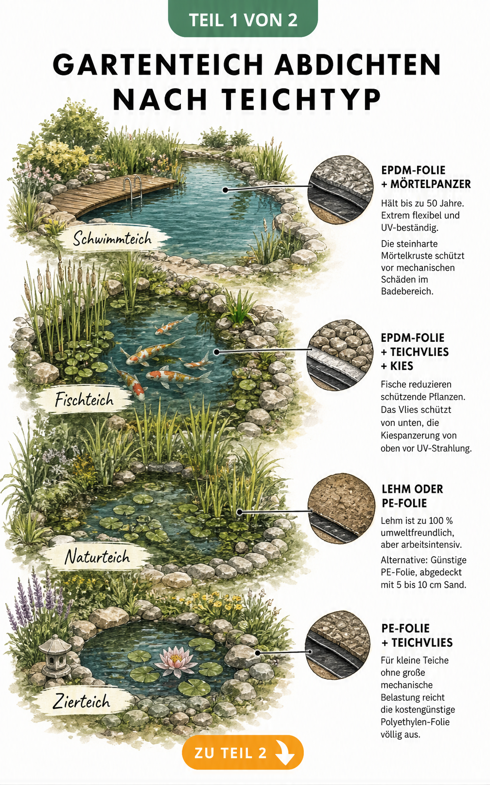 Illustration von vier Gartenteich-Typen aus der Vogelperspektive mit passenden Abdichtungsmaterialien wie EPDM-Folie, Lehm und PE-Folie