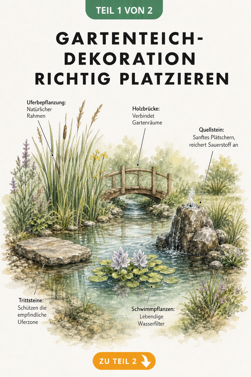 Aquarell-Skizze eines Gartenteichs mit Trittsteinen, Schilf, Wasserhyazinthen, Quellstein und Holzbrücke