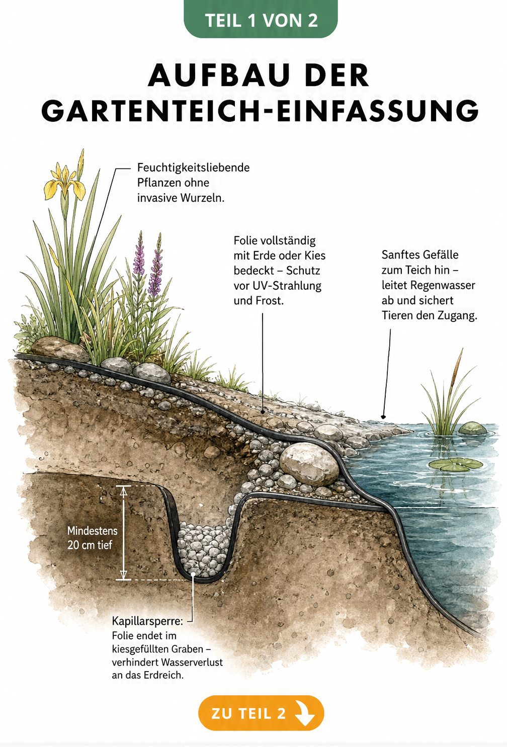 Querschnitt einer Gartenteich-Einfassung mit Ufergraben, Kapillarsperre und Teichfolie
