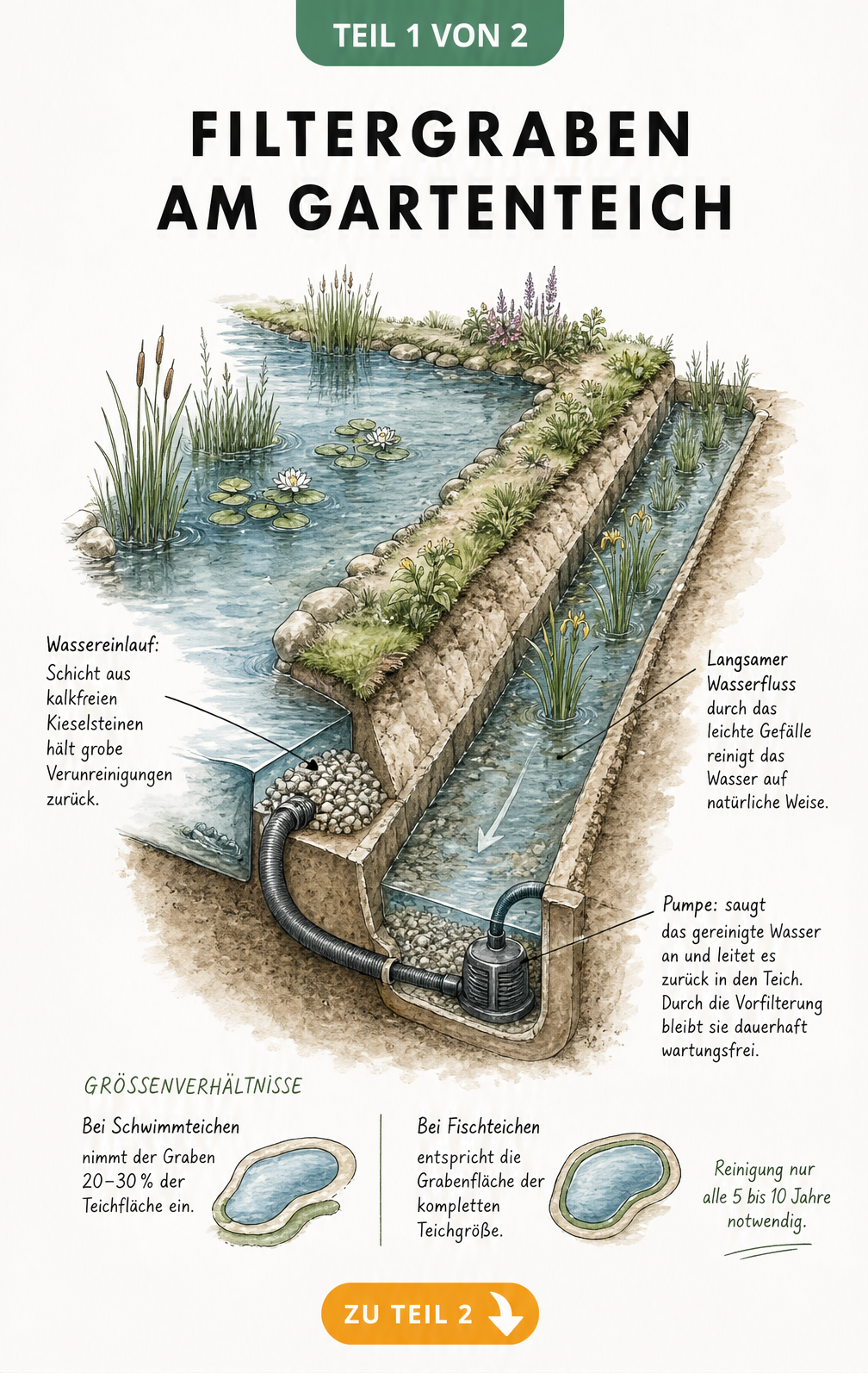 Isometrische Ansicht eines Gartenteichs mit angrenzendem Filtergraben, unterirdischem Schlauch und Pumpe