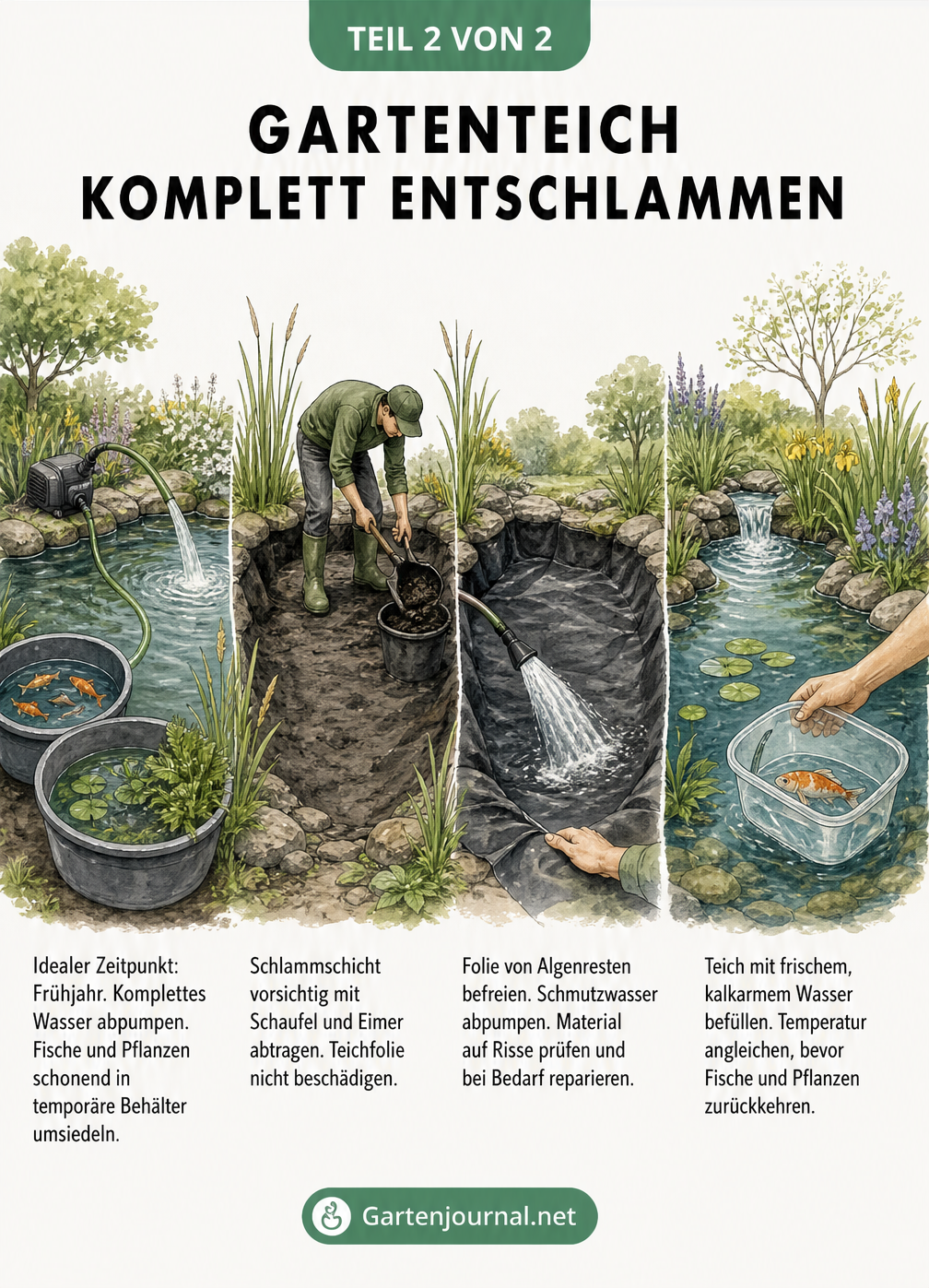 Illustration der vier Schritte zur kompletten Entschlammung eines Gartenteichs im Frühjahr: Wasser abpumpen, Schlamm abtragen, Folie reinigen und Teich neu...
