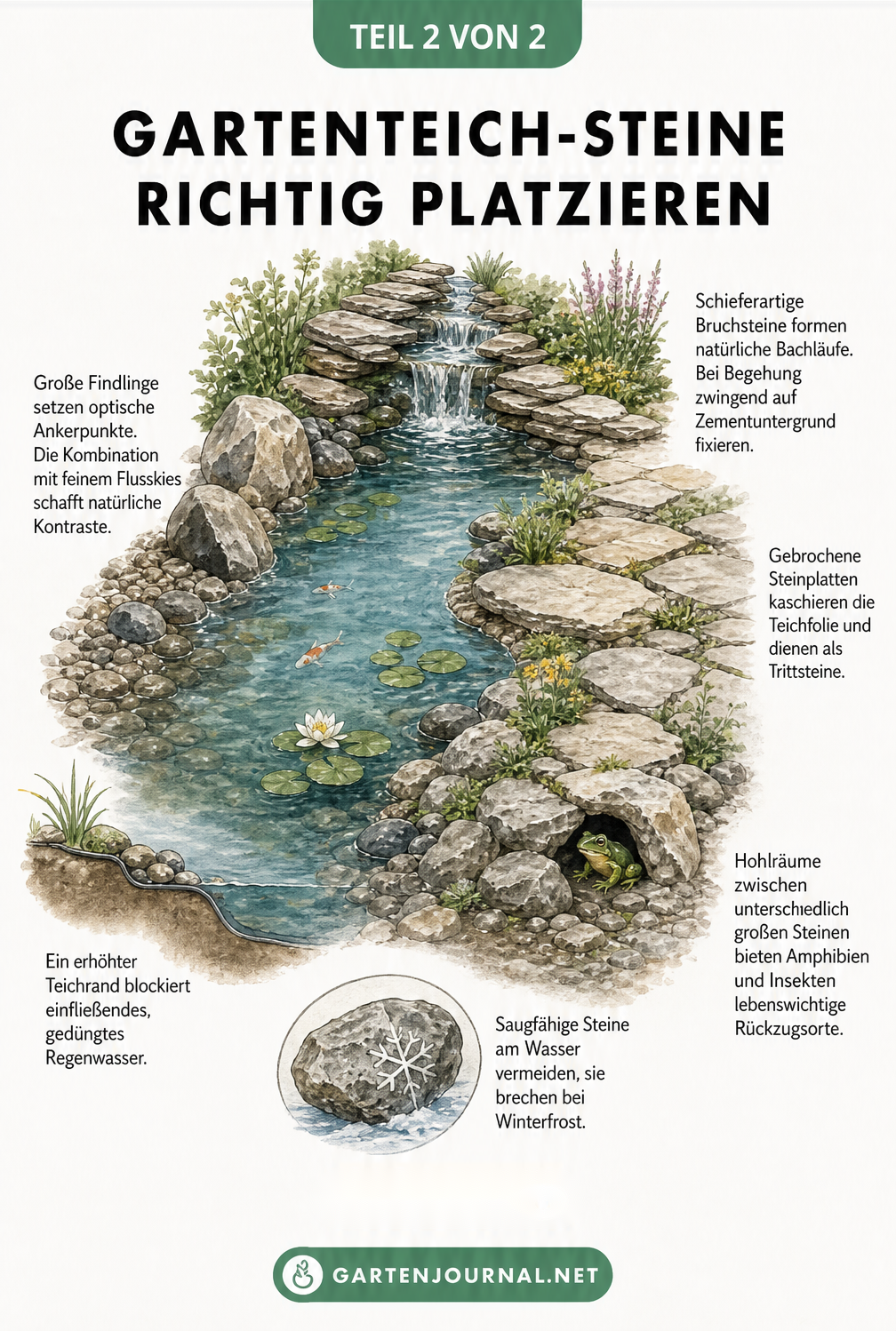 Isometrische Ansicht einer Teichlandschaft mit Wasserfall, Findlingen, Steinplatten und Rückzugsorten für Tiere