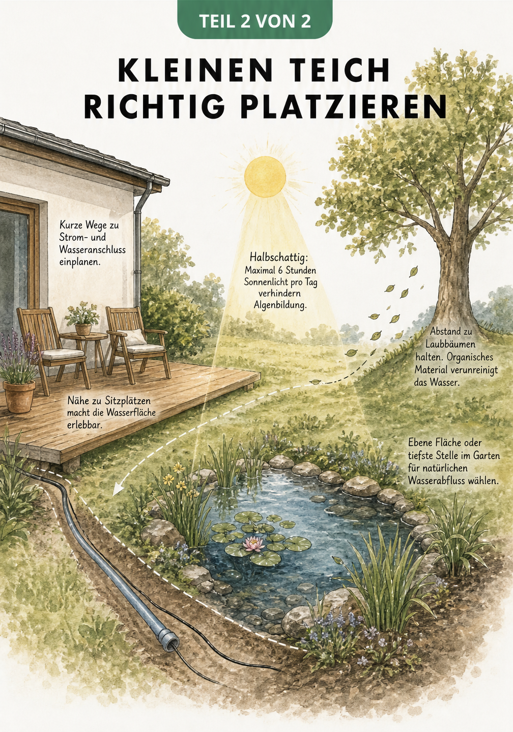 Querschnitt durch einen Gartenteich mit vier Tiefenzonen: Uferzone, Sumpfzone, Flachwasserzone und Tiefwasserzone, jeweils mit passenden Wasserpflanzen.