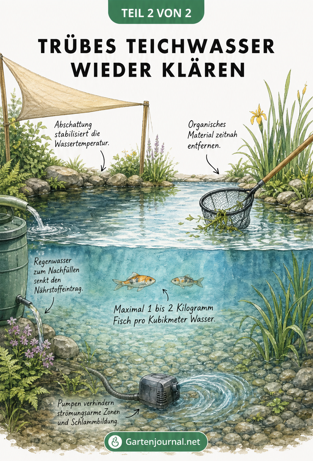 Illustration eines klaren Gartenteichs mit Sonnensegel, Kescher, Pumpe und Regentonne