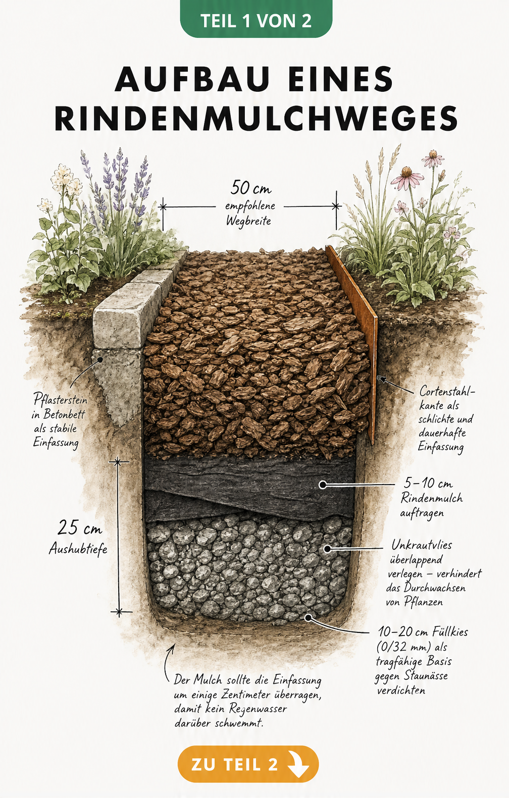 Querschnitt durch einen Gartenweg mit Rindenmulch, der die Schichten Füllkies, Unkrautvlies und Rindenmulch sowie zwei Randeinfassungen zeigt.
