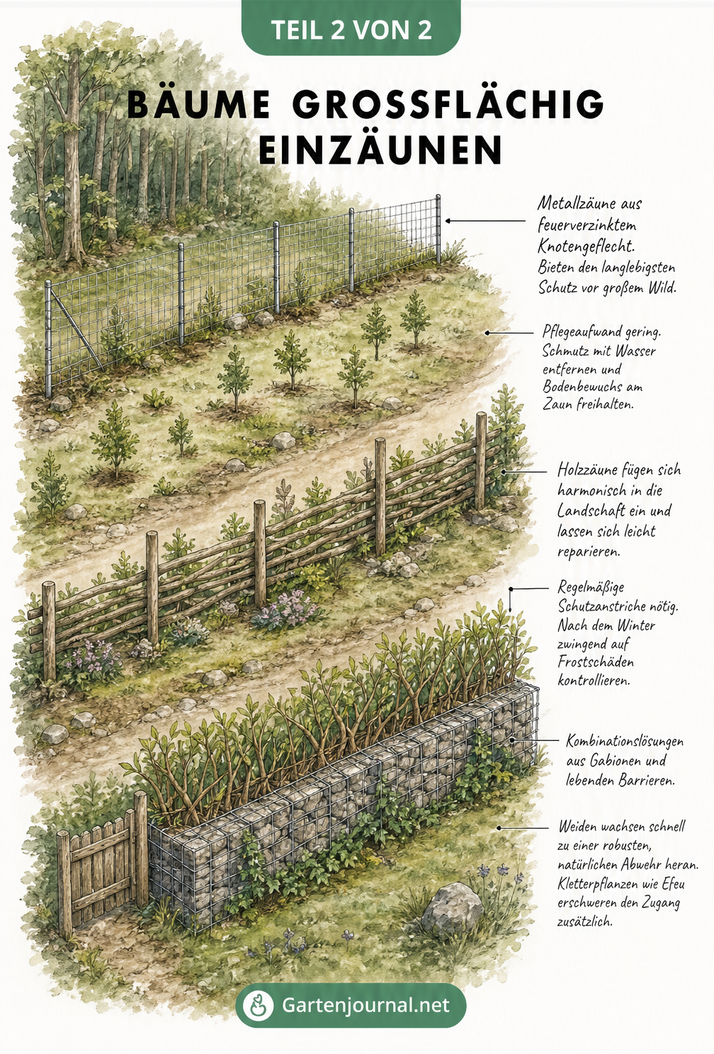 Gartenarchitektur-Skizze eines Grundstücks am Waldrand mit verschiedenen Zaunarten: Metallzaun, Holzzaun und Natursteinmauer mit Weidengeflecht.