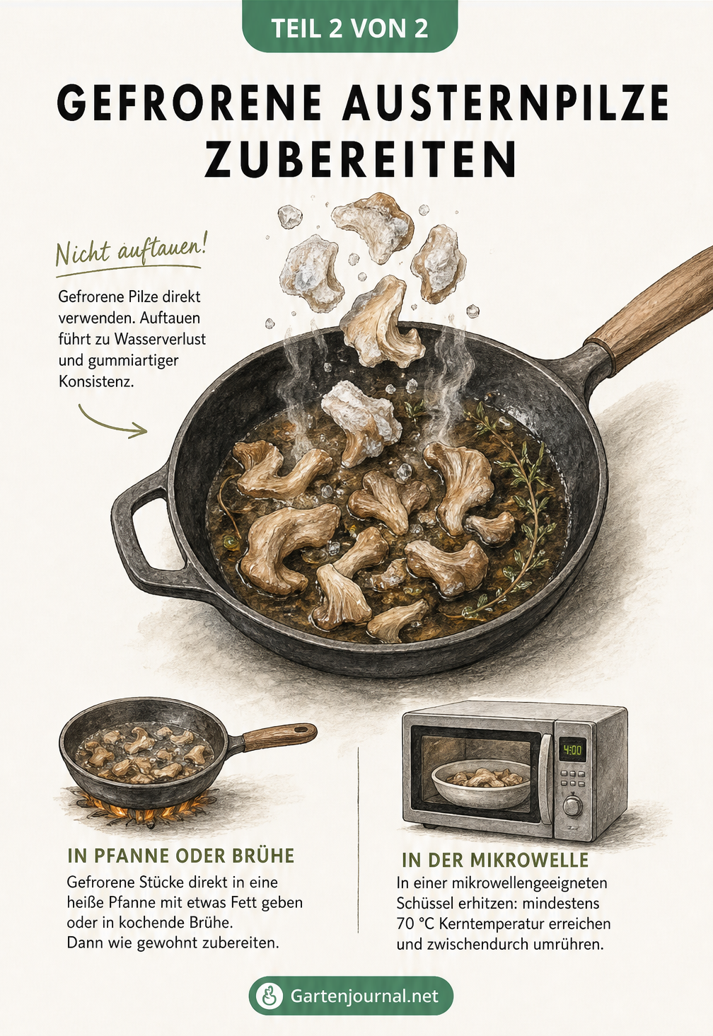 Illustration einer Pfanne mit gefrorenen Austernpilzen und Zubereitungstipps