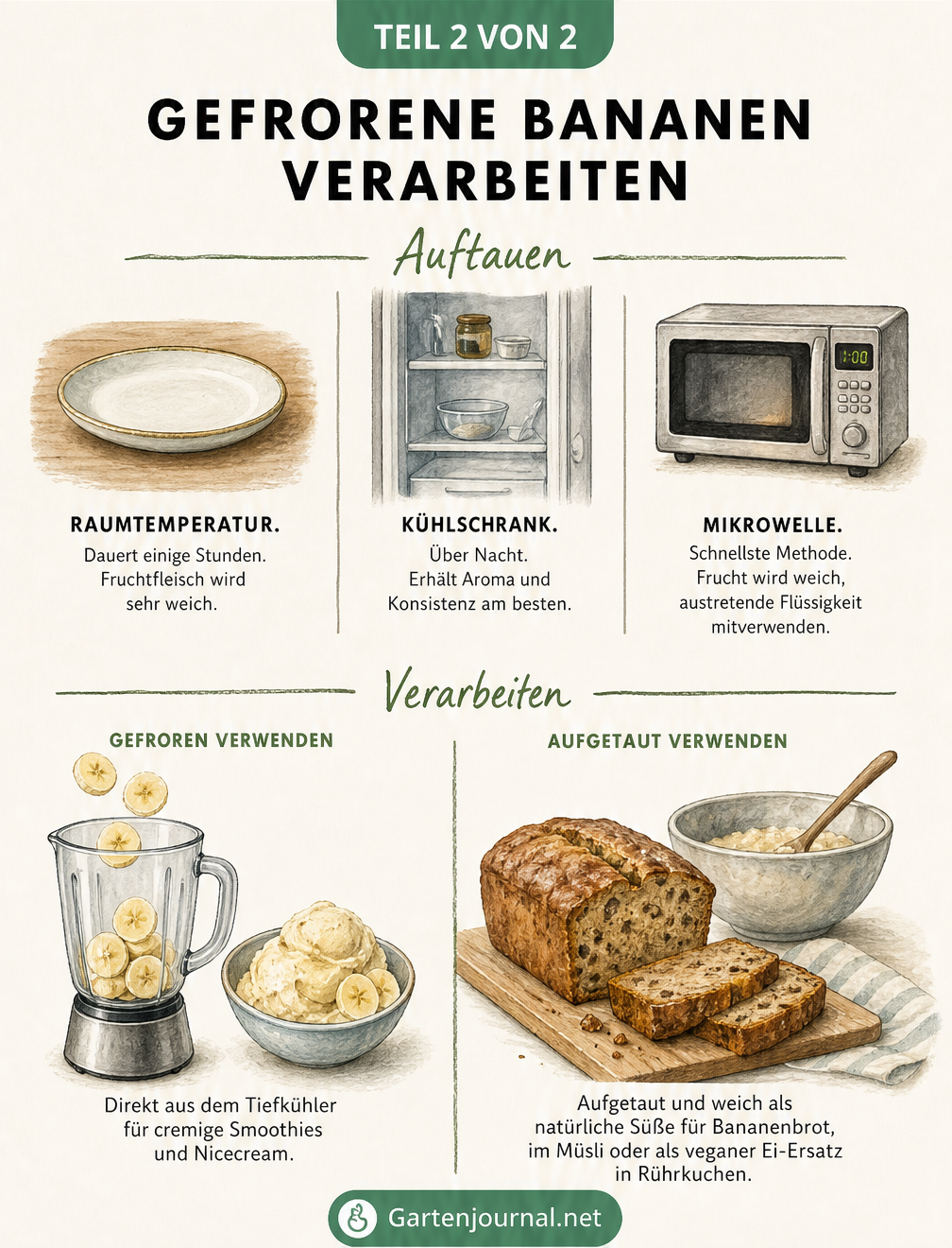 Illustration zum Auftauen und Verwenden von gefrorenen Bananen bei Raumtemperatur, im Kühlschrank oder in der Mikrowelle