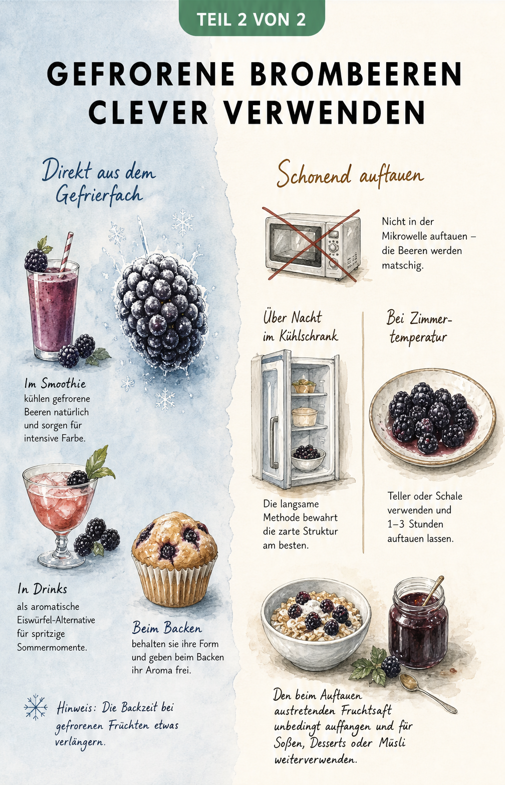 Illustration zur Verwendung und zum Auftauen gefrorener Brombeeren: Smoothies, Backen und schonendes Auftauen im Kühlschrank.