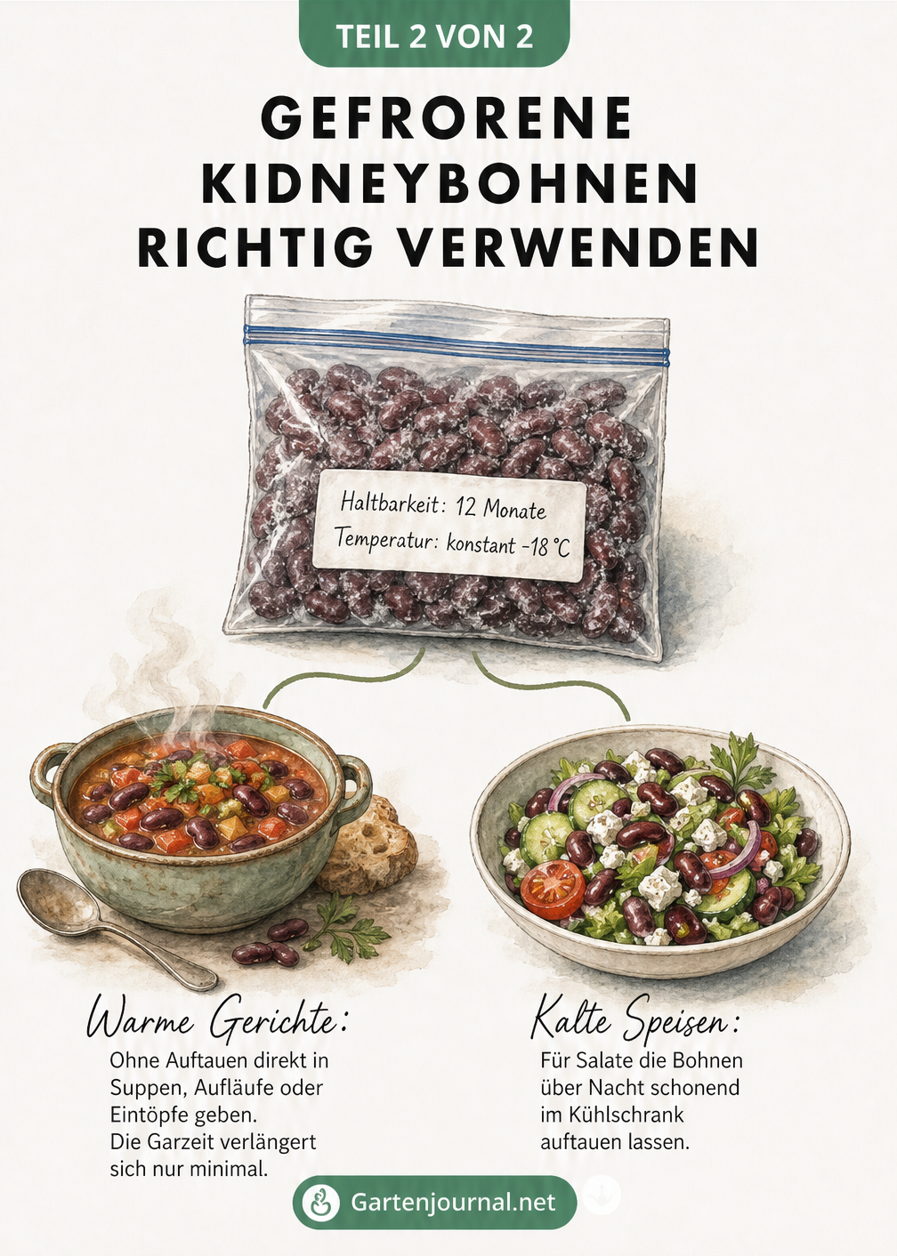 Illustration eines Gefrierbeutels mit Kidneybohnen und deren Verwendung in warmen Eintöpfen oder kalten Salaten.