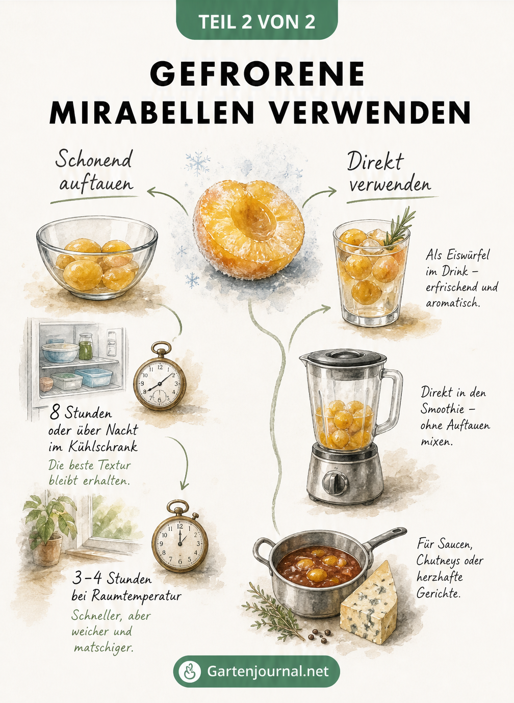 Skizze zur Verwendung gefrorener Mirabellen: Schonendes Auftauen im Kühlschrank oder direkte Verwendung für Smoothies, Eiswürfel und Saucen.