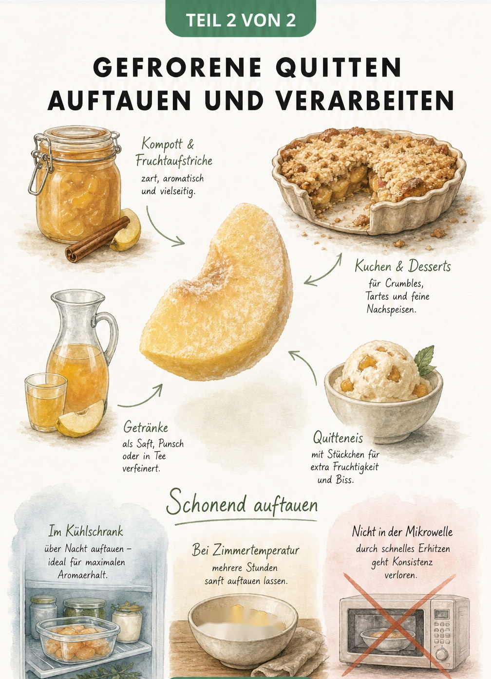 Illustration zum schonenden Auftauen von Quitten im Kühlschrank und deren Verwendung für Marmelade, Crumble, Saft und Eis.