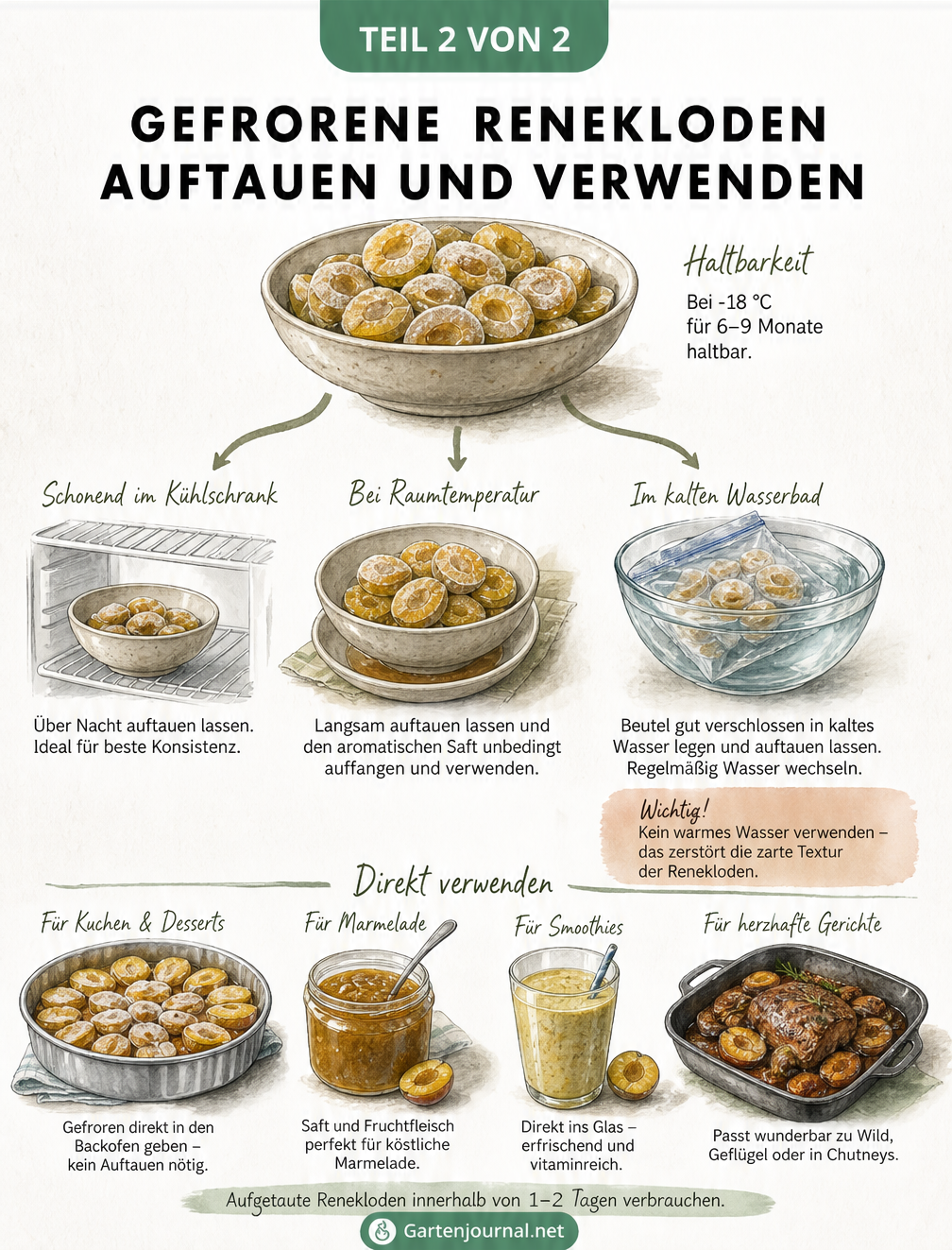 Illustration zum Auftauen und Verwenden von gefrorenen Renekloden, inklusive Kühlschrankmethode, Raumtemperatur und Wasserbad.