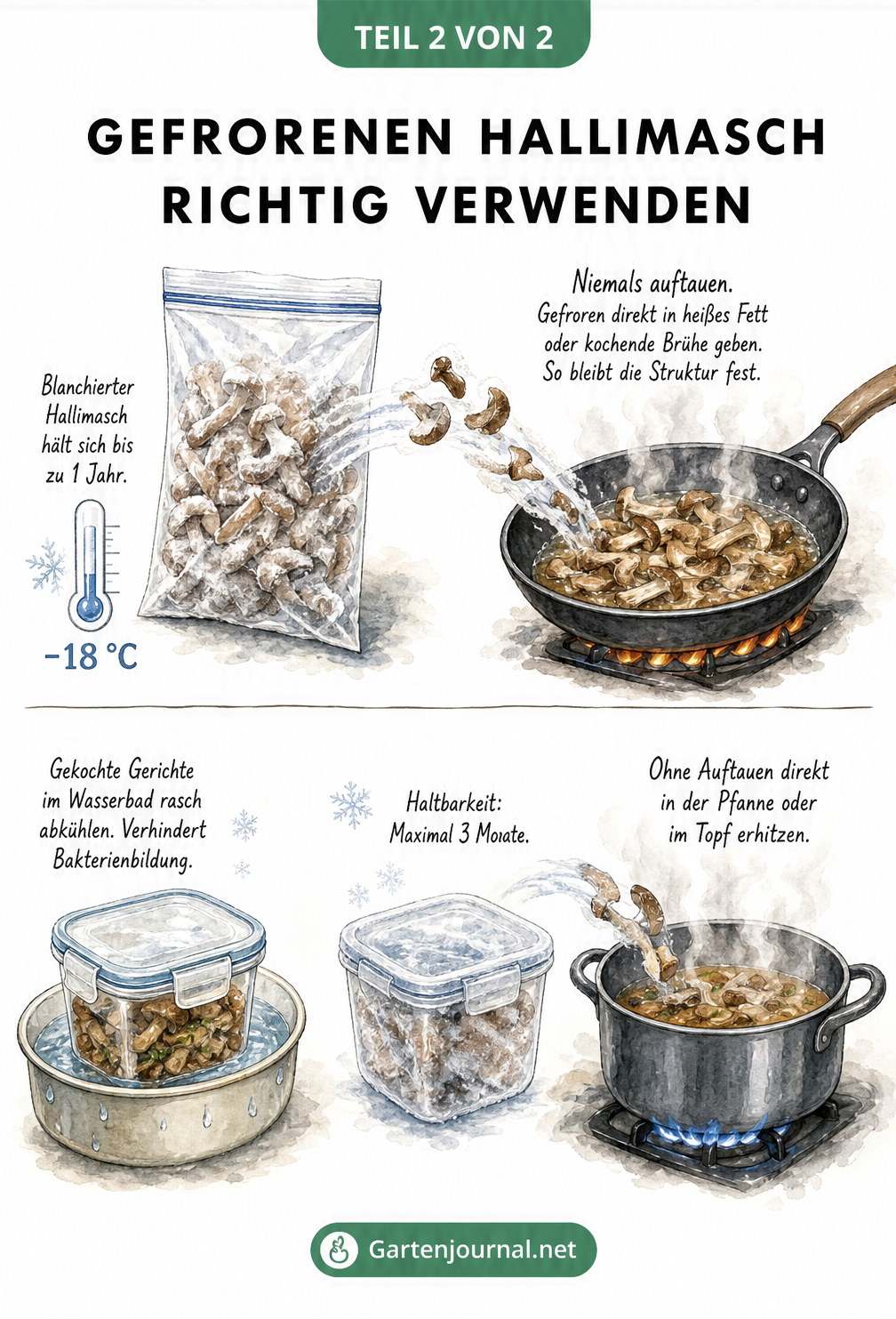 Illustration zur Verwendung von gefrorenem Hallimasch: Gefrorene Pilze direkt in die heiße Pfanne geben und gekochte Gerichte rasch abkühlen.