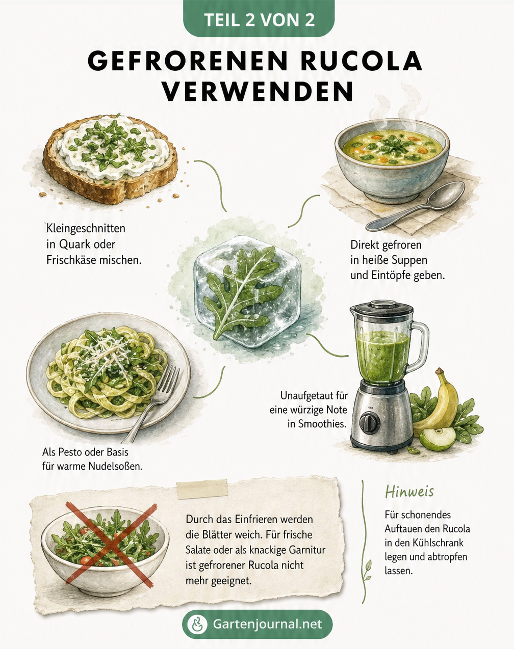 Illustration zur Verwendung von gefrorenem Rucola in Suppen, Smoothies, Pasta und Dips. Hinweis: Nicht mehr für frische Salate geeignet.