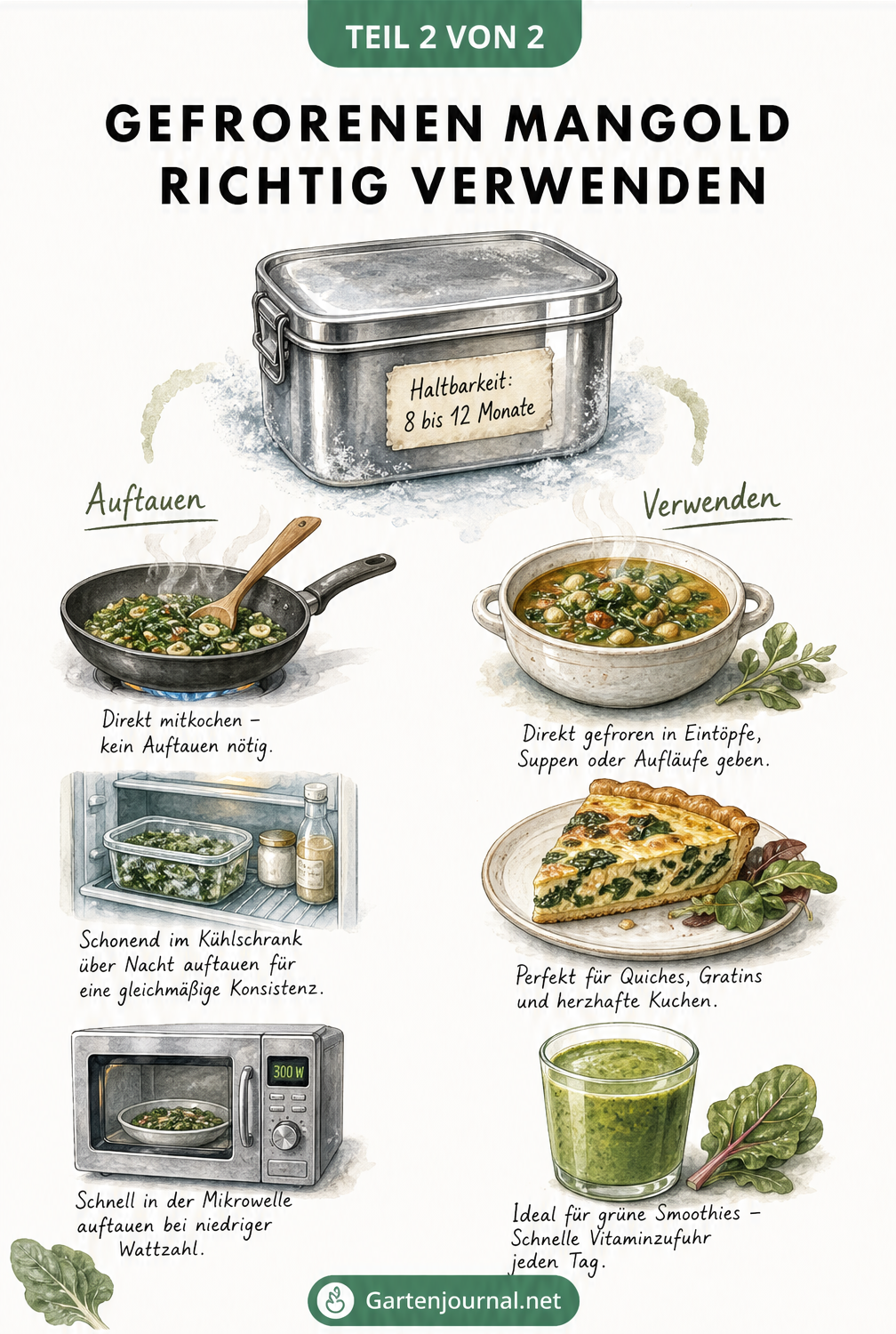Illustration: Gefrorener Mangold in einer Edelstahldose mit Haltbarkeitsetikett, Auftaumethoden und Verwendung in Suppe, Quiche und Smoothie