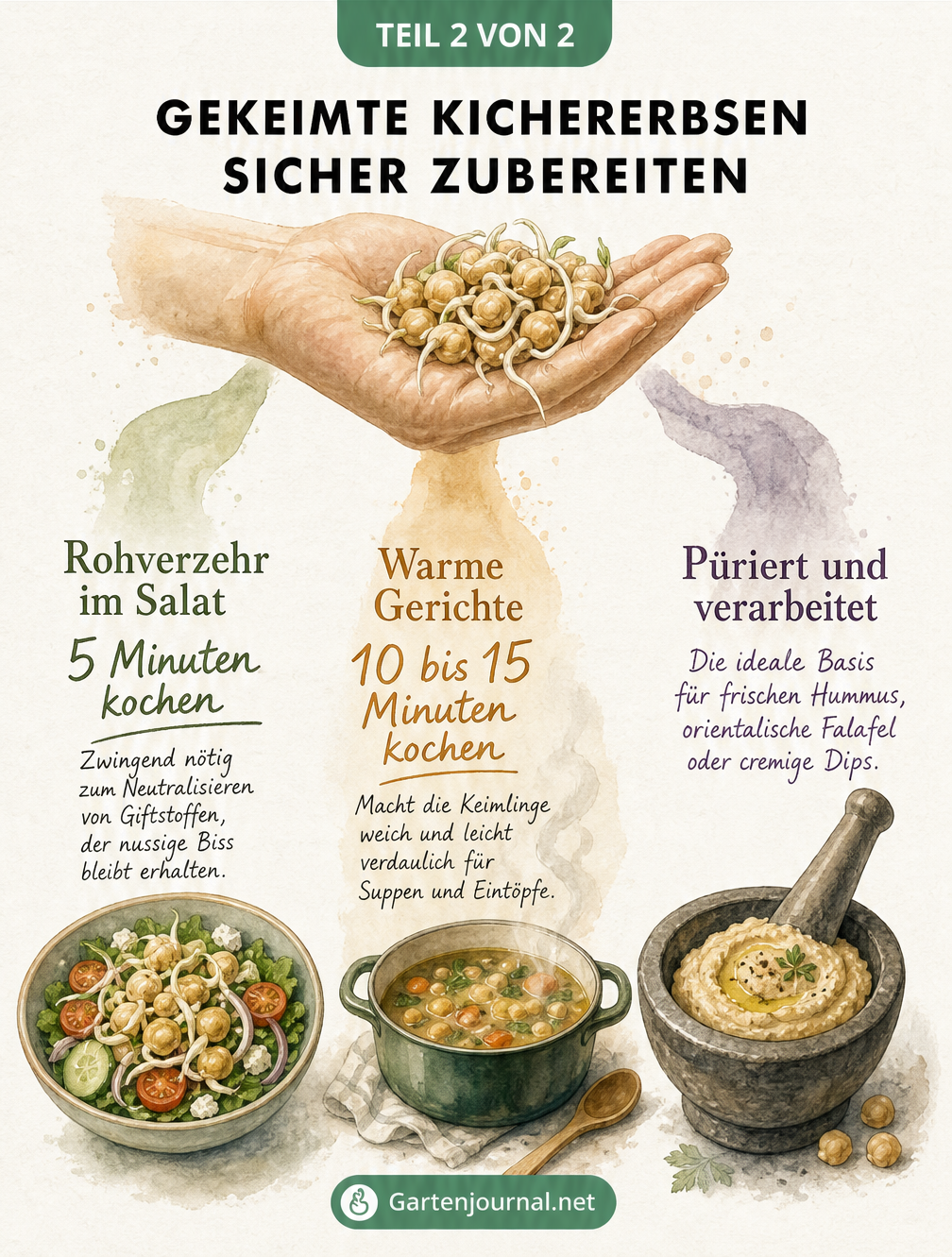 Drei Zubereitungsarten für gekeimte Kichererbsen: Roh im Salat nach kurzem Kochen, in warmen Gerichten wie Suppen und püriert als Hummus oder Falafel.
