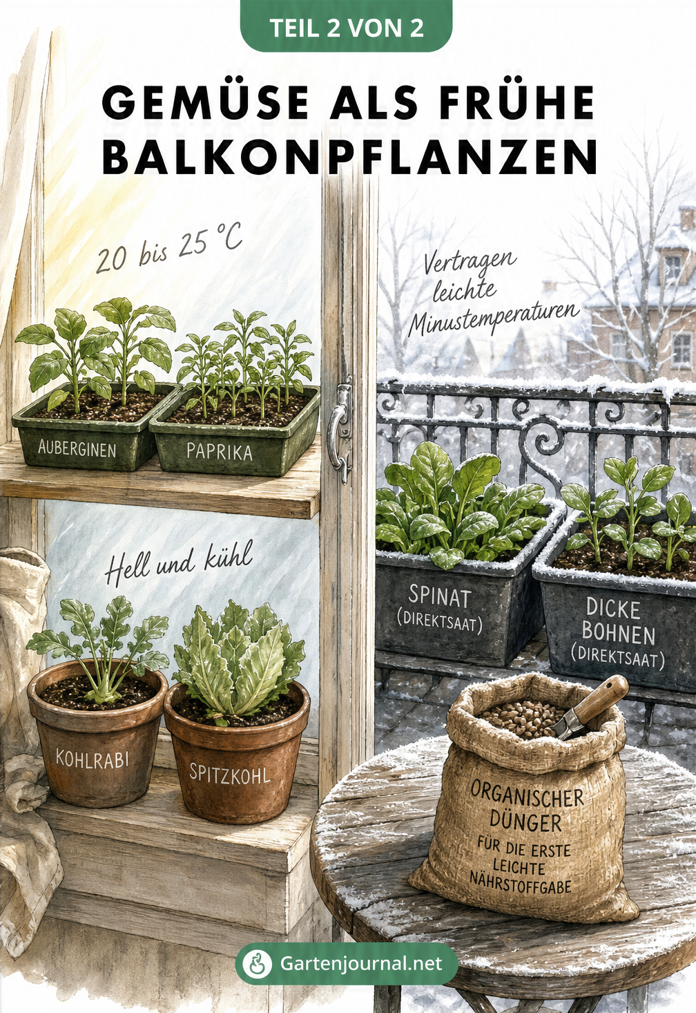 Illustration einer Fensterbank mit Anzuchtschalen für Auberginen und Paprika sowie eines Balkons mit Pflanzkübeln für Spinat und Dicke Bohnen.