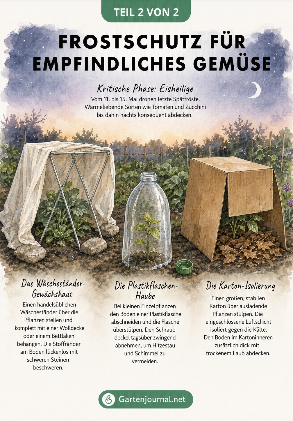 Illustration eines Gemüsebeets mit Frostschutz durch Wäscheständer, Plastikflasche und Karton