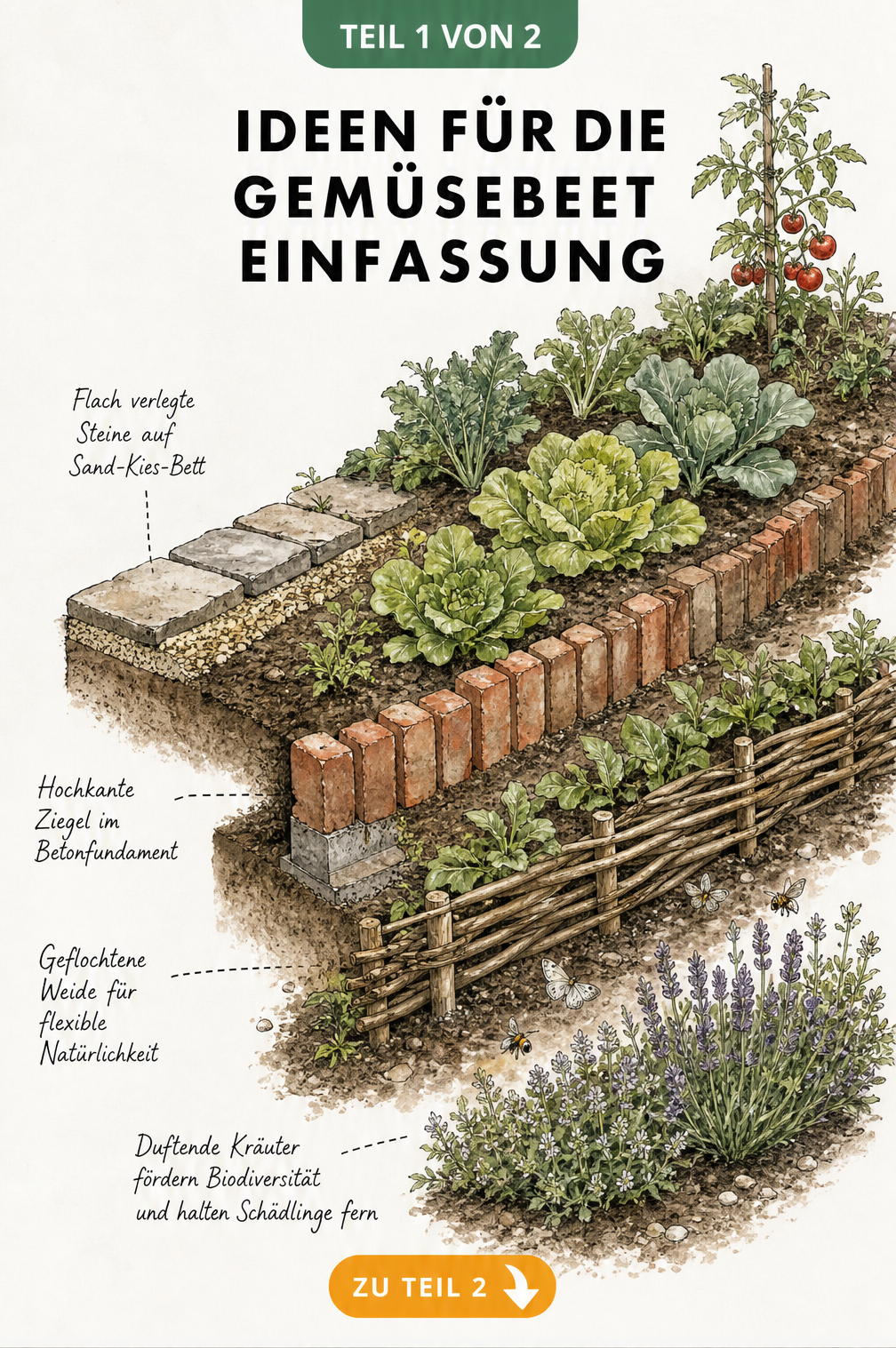 Illustration verschiedener Materialien für die Gemüsebeet-Einfassung wie Naturstein, Ziegel, Weide und Kräuter
