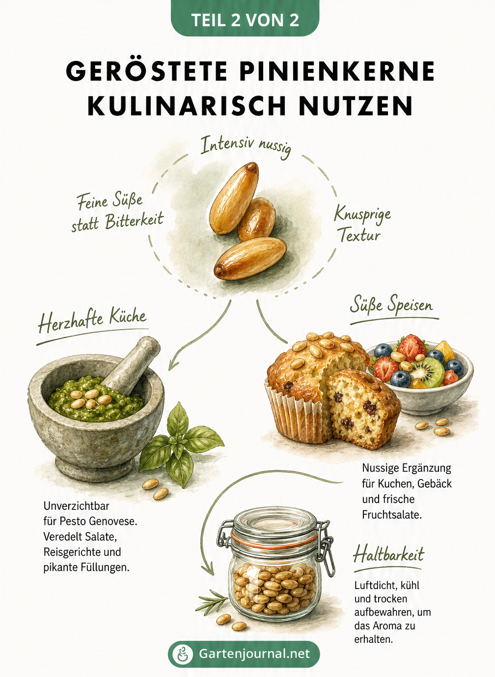 Illustration von gerösteten Pinienkernen und deren Verwendung in herzhaften und süßen Speisen sowie Tipps zur Haltbarkeit.