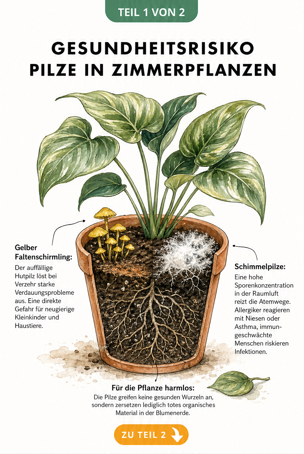 Illustration eines Blumentopfs mit gelben Pilzen und Schimmel auf der Erde, die Gesundheitsrisiken für Mensch und Tier aufzeigt.