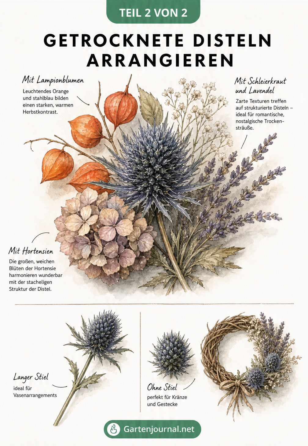 Aquarell-Flat-Lay einer Kugeldistel kombiniert mit Lampionblumen, Schleierkraut, Lavendel und Hortensien.