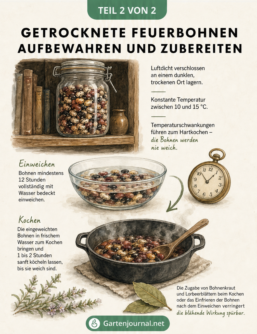 Illustration zur Aufbewahrung von getrockneten Feuerbohnen im Vorratsglas und Zubereitung im Kochtopf