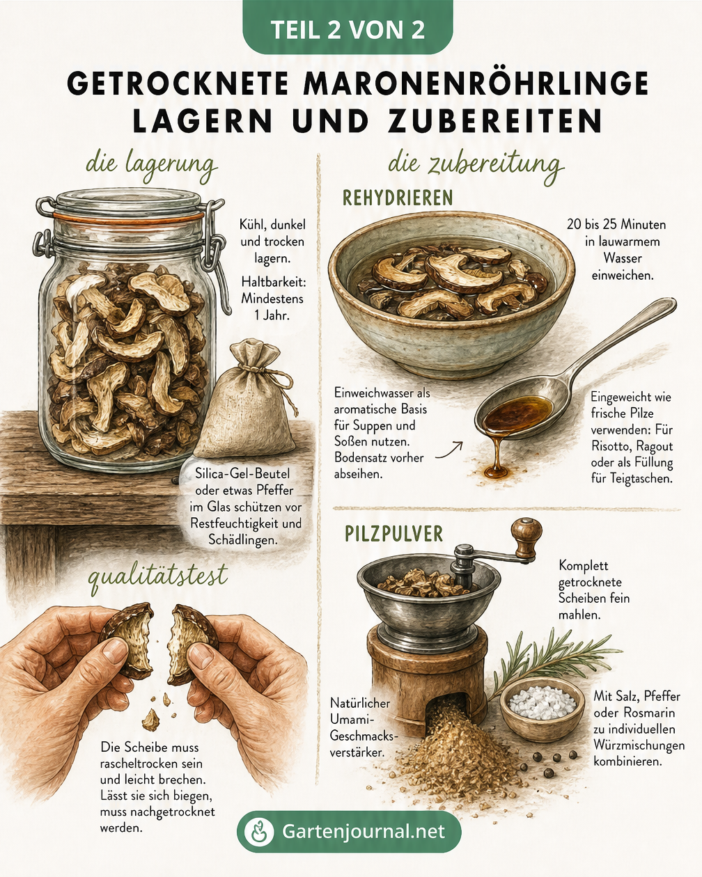 Illustration zur Lagerung und Zubereitung von getrockneten Maronenröhrlingen