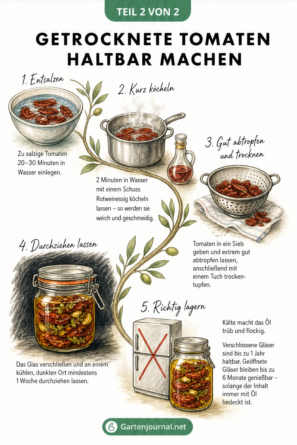 Illustration der Schritte zum Haltbarmachen von getrockneten Tomaten: Wässern, Abtropfen, Ziehen lassen und Lagern