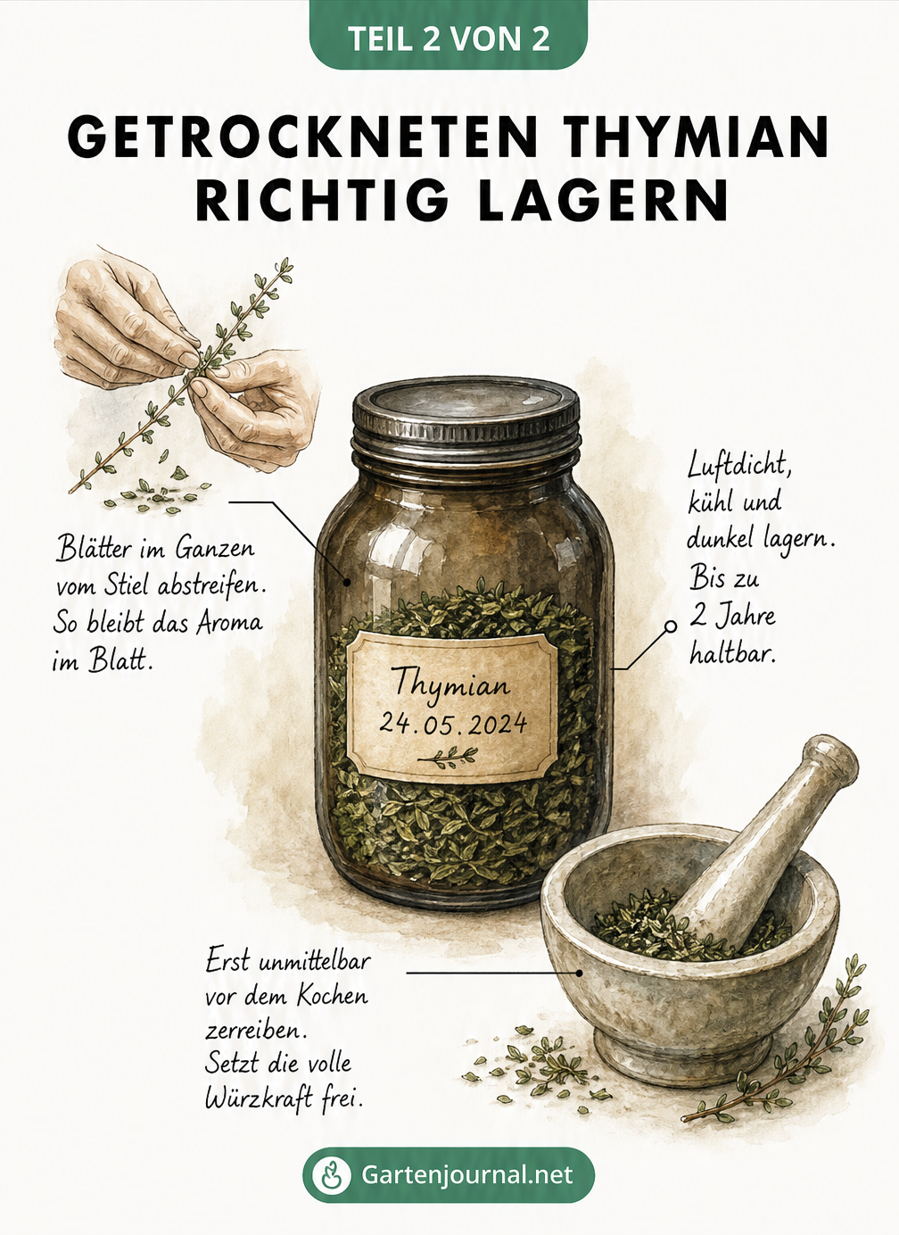 Illustration zur Lagerung von getrocknetem Thymian in einem dunklen Schraubglas