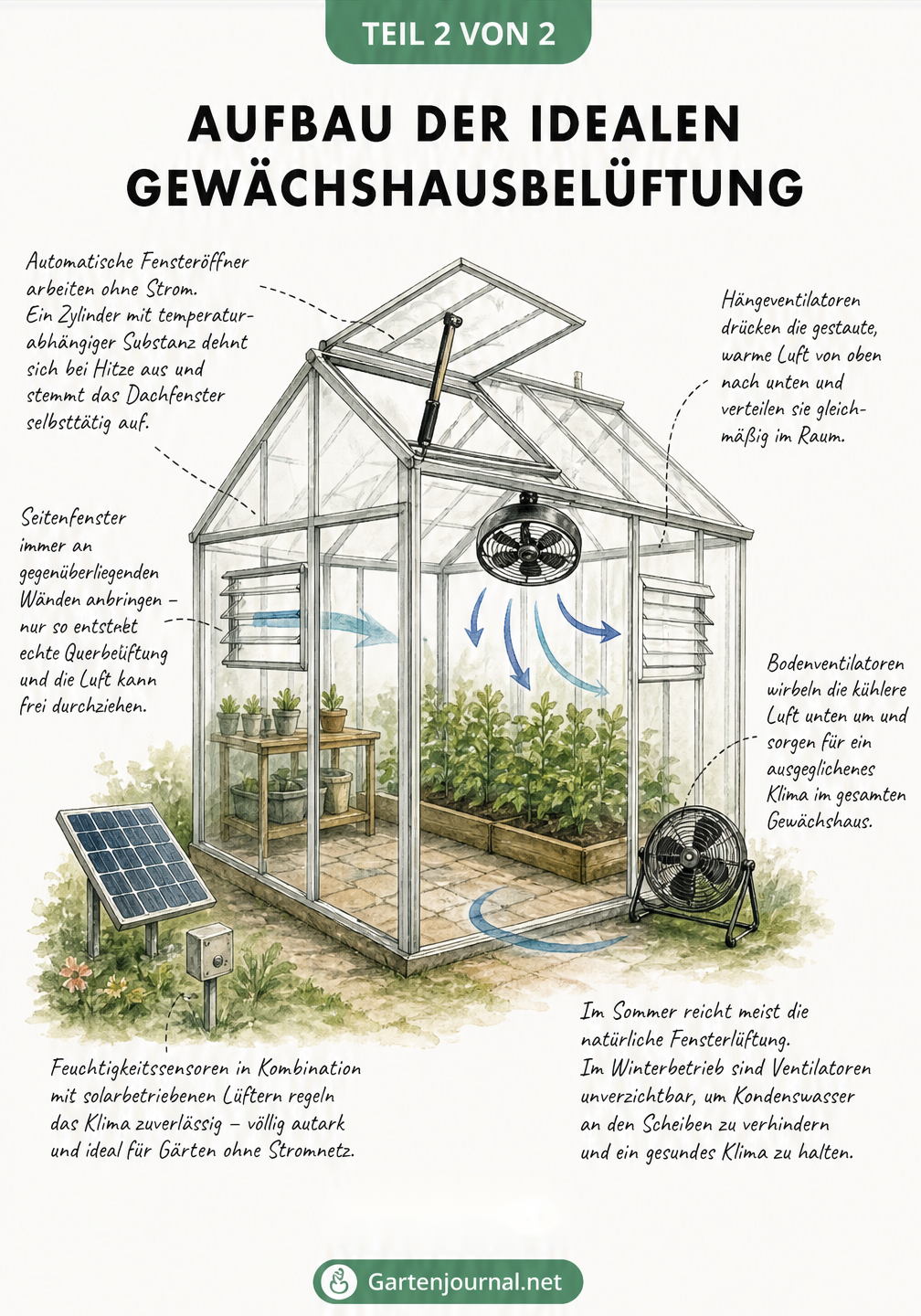 Isometrische Darstellung eines Gewächshauses mit automatischen Fensteröffnern, Seitenfenstern für Querbelüftung und verschiedenen Ventilatoren.
