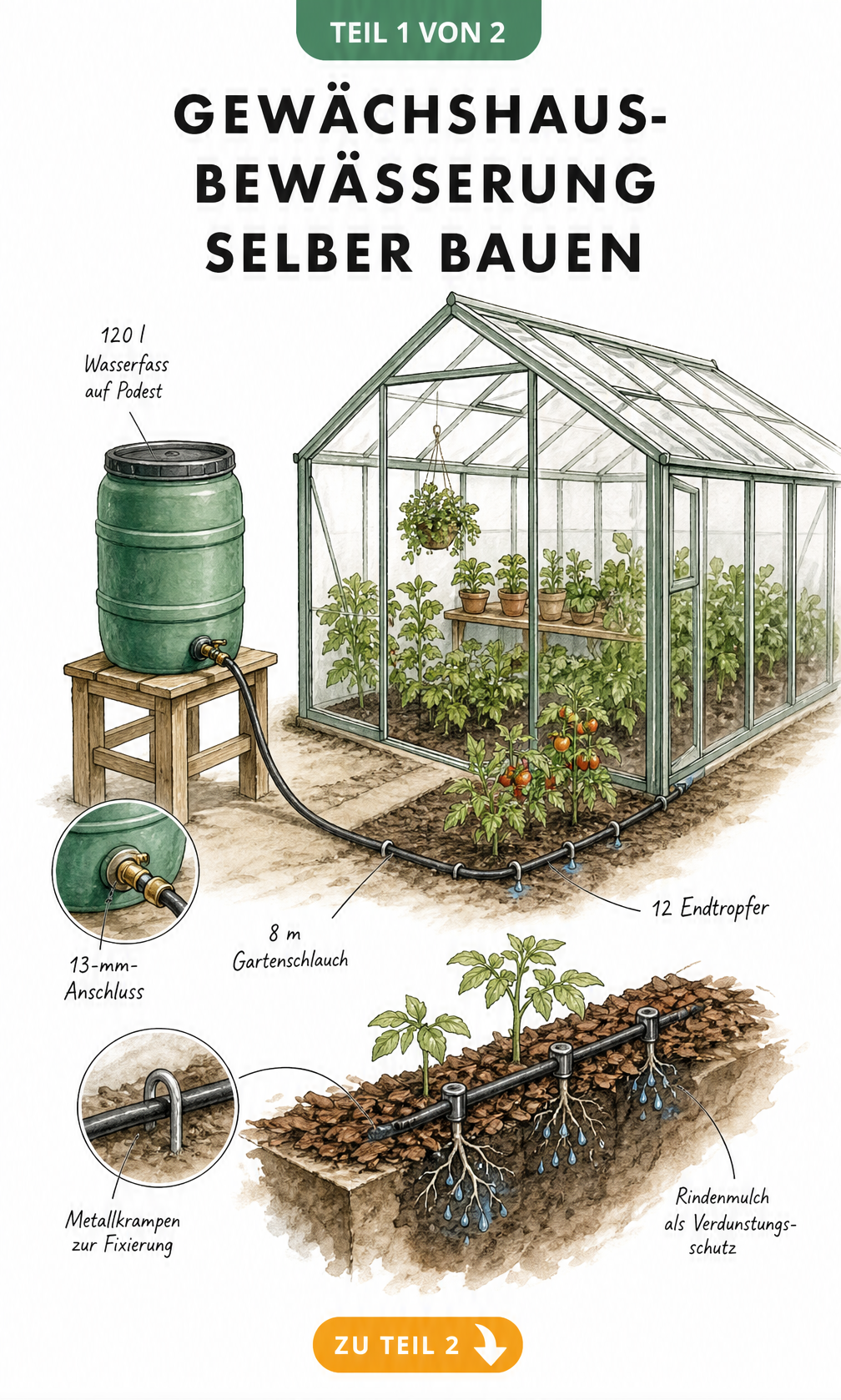 Schnittansicht eines Gewächshauses mit einem Schwerkraft-Bewässerungssystem aus Wasserfass, Gartenschlauch und Endtropfern