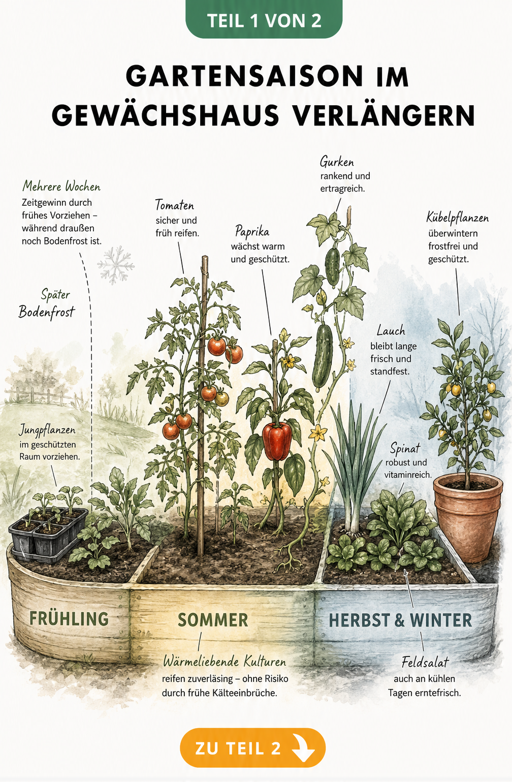 Illustration einer Zeitleiste im Gewächshaus, die den Anbau von Frühling bis Winter zeigt