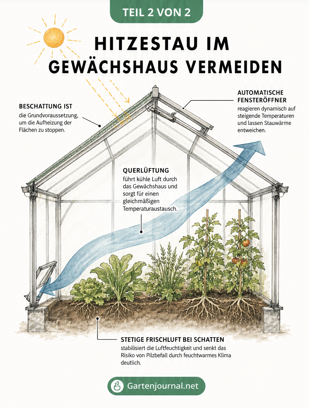 Querschnitt eines Gewächshauses mit Darstellung von Beschattung, automatischem Fensteröffner und Querlüftung