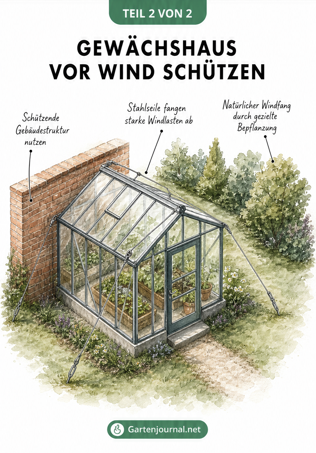 Isometrische Zeichnung eines Gewächshauses mit drei Windschutzmaßnahmen: Backsteinmauer, Stahlseile und eine Hecke als natürlicher Windfang.
