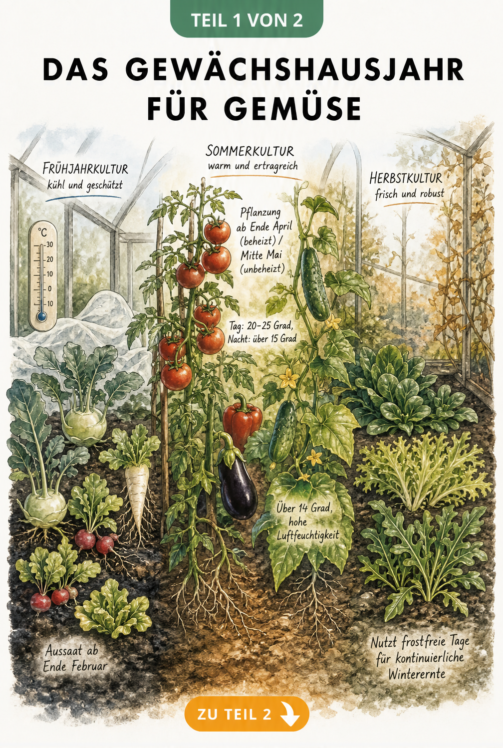 Aquarell-Illustration des Gewächshausjahres mit Frühjahrs-, Sommer- und Herbstkulturen