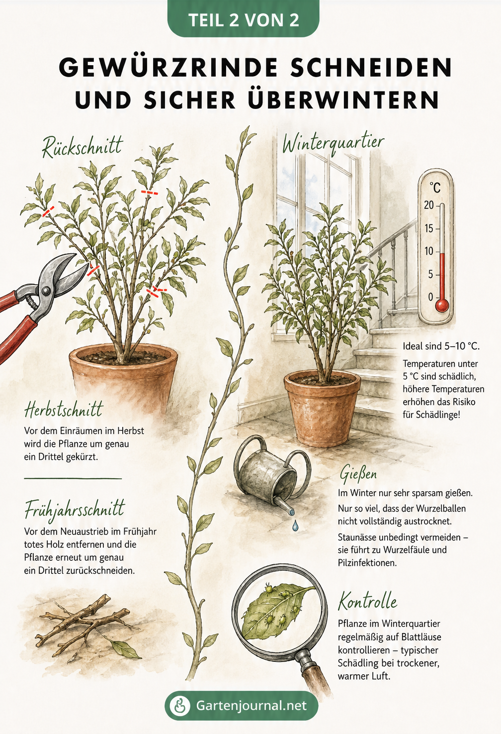 Skizze einer Gewürzrinde mit Schnittmarkierungen und Thermometer im hellen Winterquartier