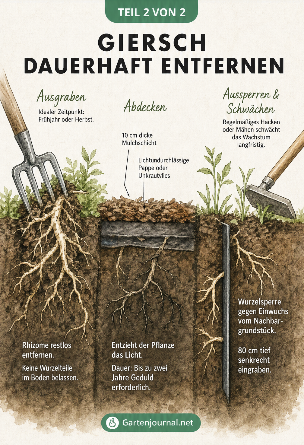 Querschnitt durch den Gartenboden mit Methoden zur Giersch-Entfernung wie Ausgraben, Abdecken und Aussperren