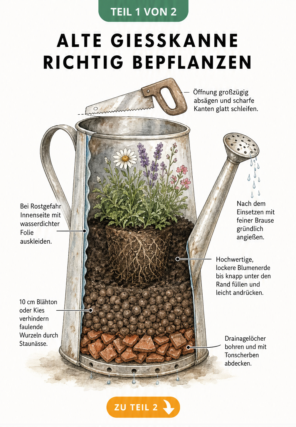 Querschnitt einer bepflanzten Zink-Gießkanne mit Drainageschicht, Blähton und Blumenerde