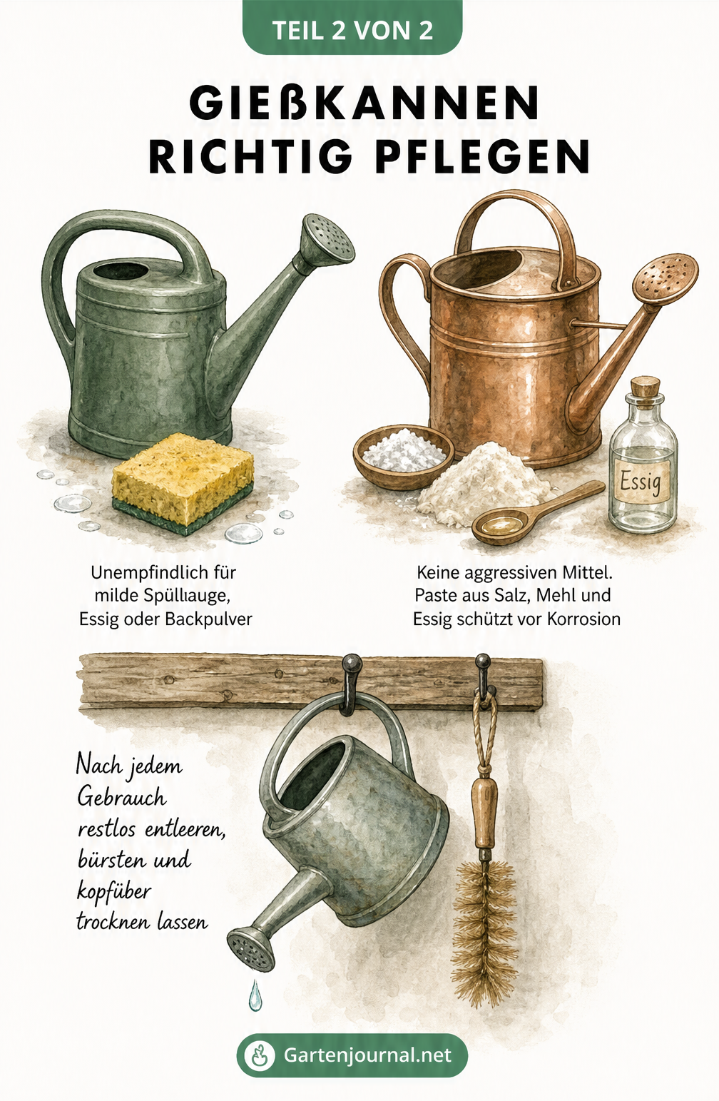 Illustration zur Pflege von Kunststoff- und Metallgießkannen mit Schwamm, Bürste und Hausmitteln