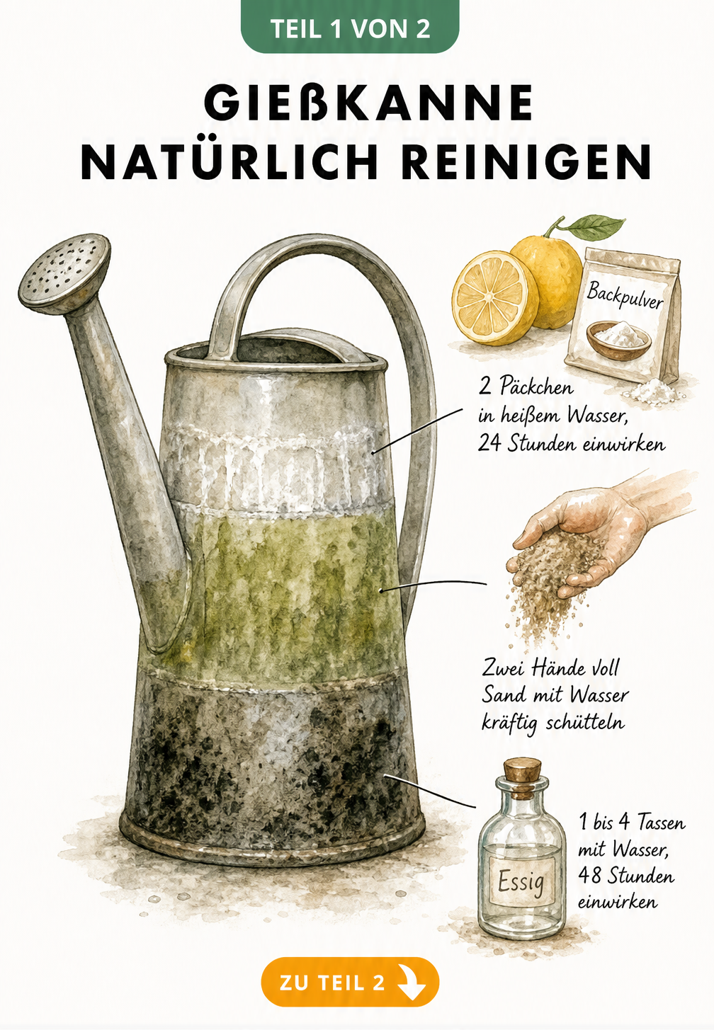 Aquarell-Illustration einer Gießkanne mit Hausmitteln gegen Kalk, Algen und Schimmel