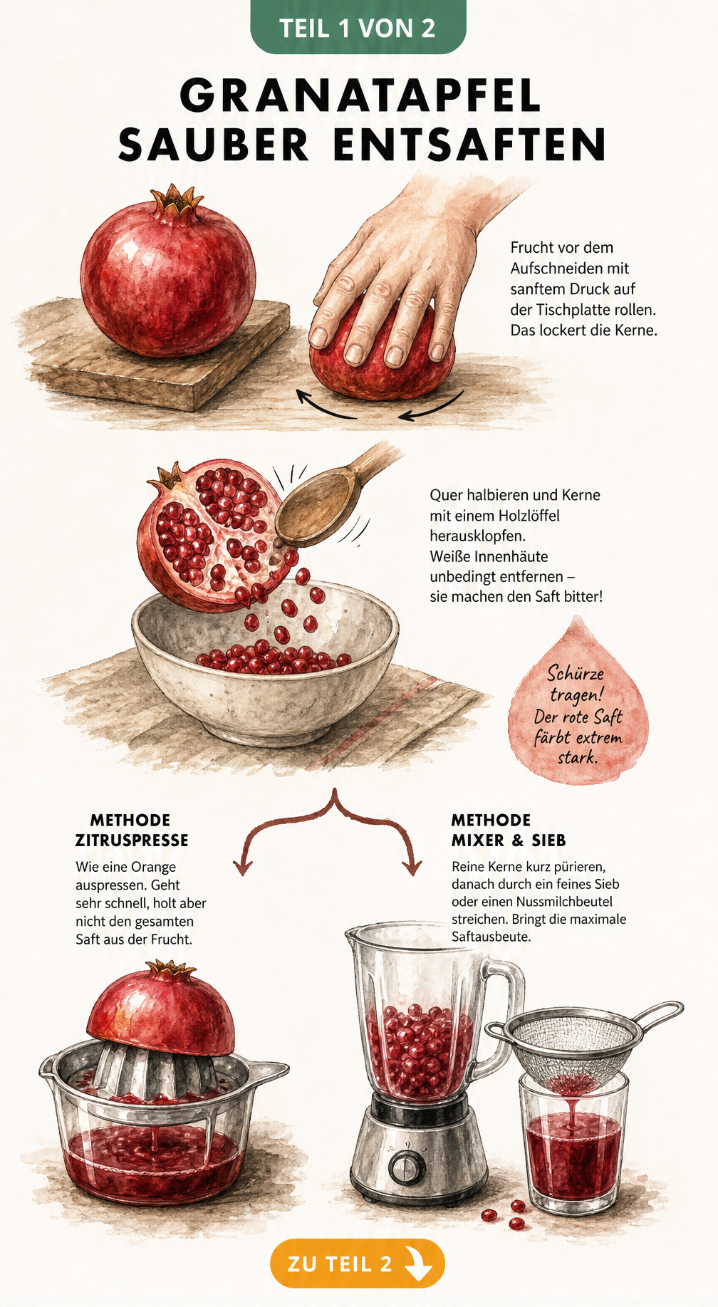 Illustration zur Vorbereitung und Entsaftung eines Granatapfels mit Zitruspresse oder Mixer und Sieb