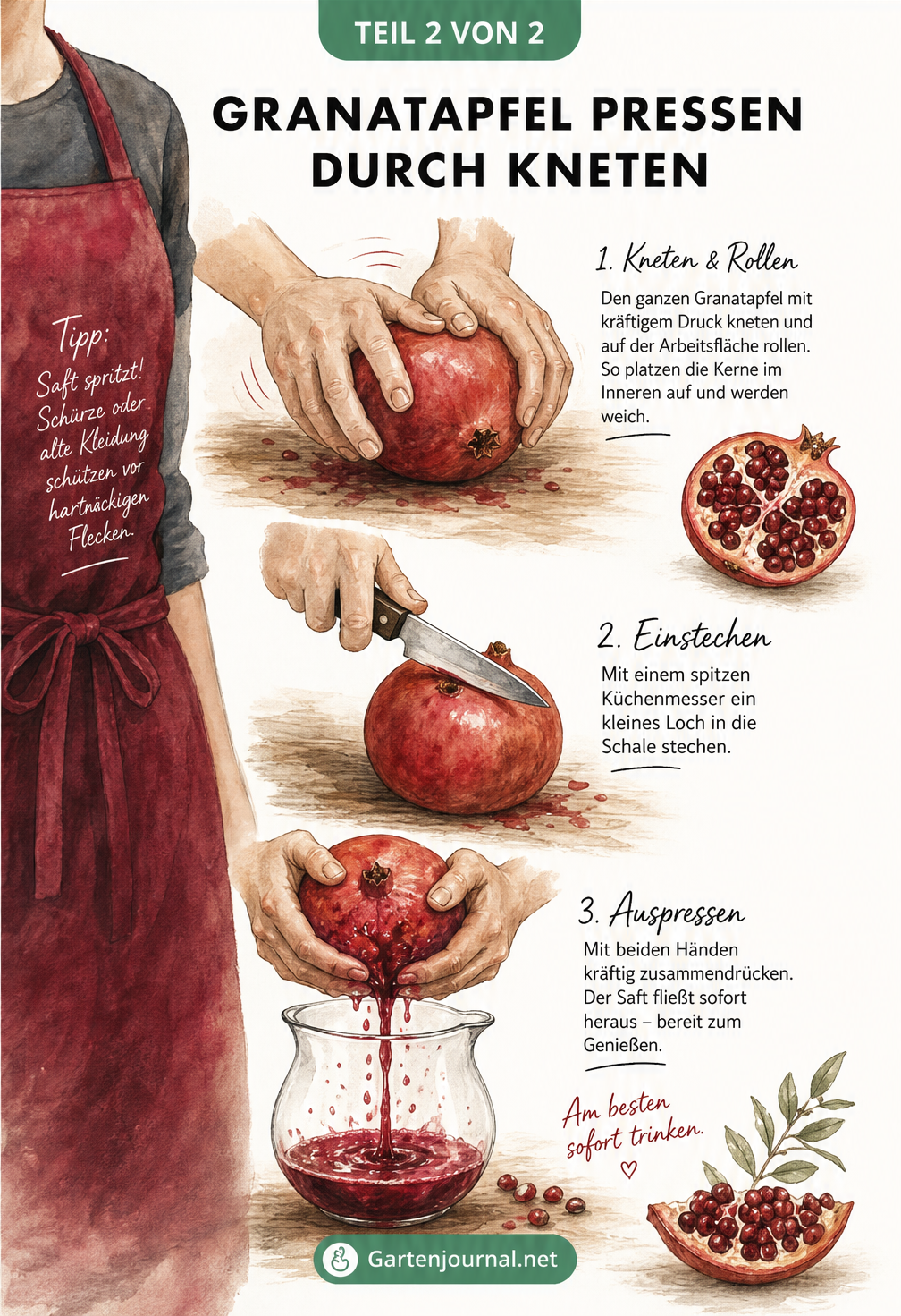 Illustration der Knetmethode für Granatäpfel: Rollen, Anstechen und Ausdrücken des Saftes.